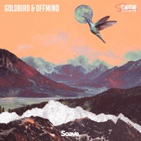 Snow (Hey Oh) - Single - Goldbird & Offmind