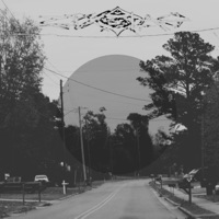 Transmission #113 (feat. Bryan Park & Hot Lobster) - Single - Zyxalag