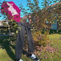 Fake Jeans - Single - Skny Jeans & Fake Plants