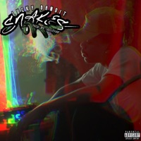 Snakes - Single - Lucky Bandit