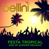 Festa Tropical (After Summer Megaclubmix) artwork