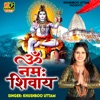 Om Namah Shivaya - Single