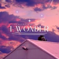 I Wonder (feat. Flame Timo & Matay Music) - Single - Sensory Meditation