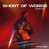 Short of Words (Sped Up) - Single