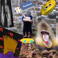 Herz gestolen NEUE (feat. kidd keta & NiemalsKlein) [Radio Edit] - Single - DizzyDoc