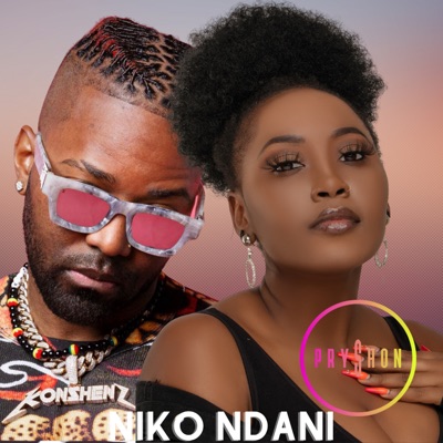 Niko Ndani (feat. Konshens) - Single