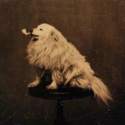 DUDES WILL SEE THIS & SAY "HELL YEAH"