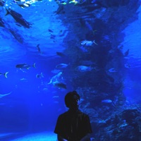 ติดติด - Single - Dif Kids