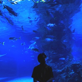 ติดติด Dif Kids