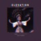 Elevation (feat. Josh Namba) [Slowed + Reverb] - Lofi Afrobeats lyrics