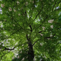 This Is Stronger - Single - Sebastian Jautschus