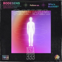 Salvia - Single - NZA 333 & Rodesens