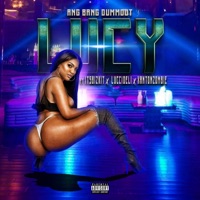 Lucy (feat. Itsbizkit, Luccideli & Xantonzombie) - Single - Ang Bang