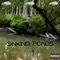 Robert Dinero - Sinking Ponds Productions lyrics