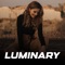 Luminary (tiktok version) artwork