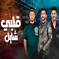 قلبى شايل - Single - طارق شئلشه, عادل صانوه & Ahmad Amer