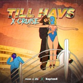 TILL HAVS: X-Cruise artwork