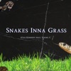 Snakes inna grass (feat. Young C) - Single