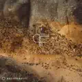 Somehow damaged