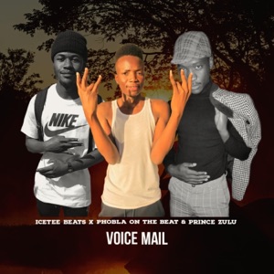Voice-mail (feat. Phobla On The Beat & Prince Zulu)