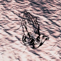 Holy Water (Instrumental) - Single - MEDICI