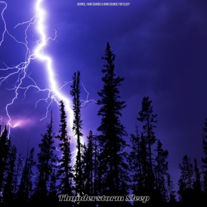 Rain & Thunder