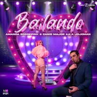 Bailando - Single - Canis Major a.k.a Jojoman & Amanda Rosse