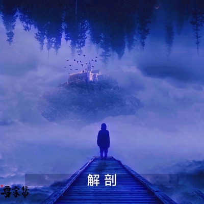 解剖 - Single