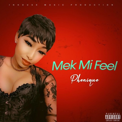 Mek Mi Feel - Single