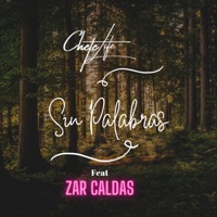 Sin Palabras (feat. Zar Caldas) - Single - Chete Life