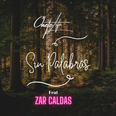 Sin Palabras (feat. Zar Caldas) - Single