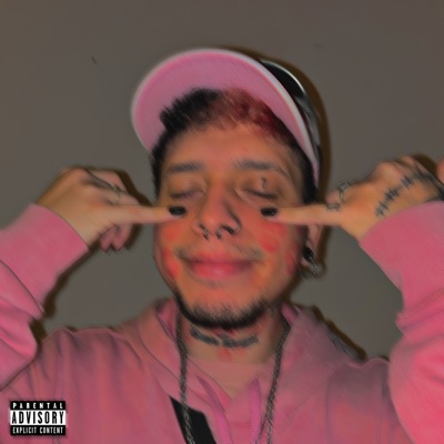 Pinkkiss - Single