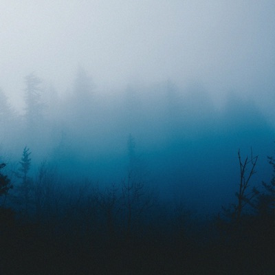 Dream of You - Single