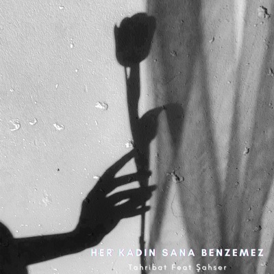 Her Kadın Sana Benzemez (feat. Şahser) - Single