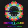 Lionsize & BOXINBOX
