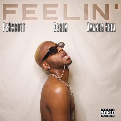 FEELIN' (feat. Pr3scott, Karim & Amanda Shea) - Single