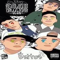 Éxitos - Revolucion Callejera Klan