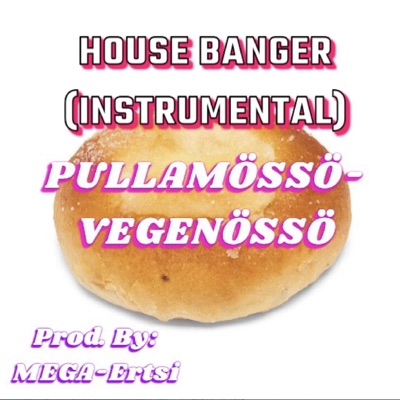 PULLAMÖSSÖ (HOUSE BEAT INSTRUMENTAL) - Single