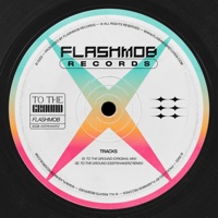 To the Ground (The Deepshakerz Remix) - Single - Flashmob & The Deepshakerz