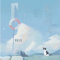 最小的海 - Single - 林凡