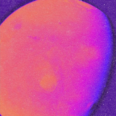 Life On Mars? - Single