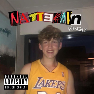 Natteravn - Single
