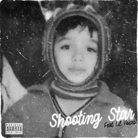 Shooting Star (feat. Lil Voices) [Sped Up] JOz
