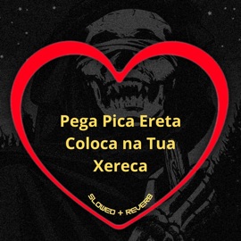 Pega Pica Ereta Coloca na Tua Xereca 1.0 (Slowed + Reverb) Love Fluxos, MC MN & DJ BRN