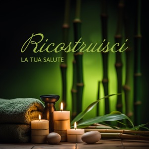 Ricostruisci la tua salute: Stile di vita della meditazione Zen, relax, SPA e benessere