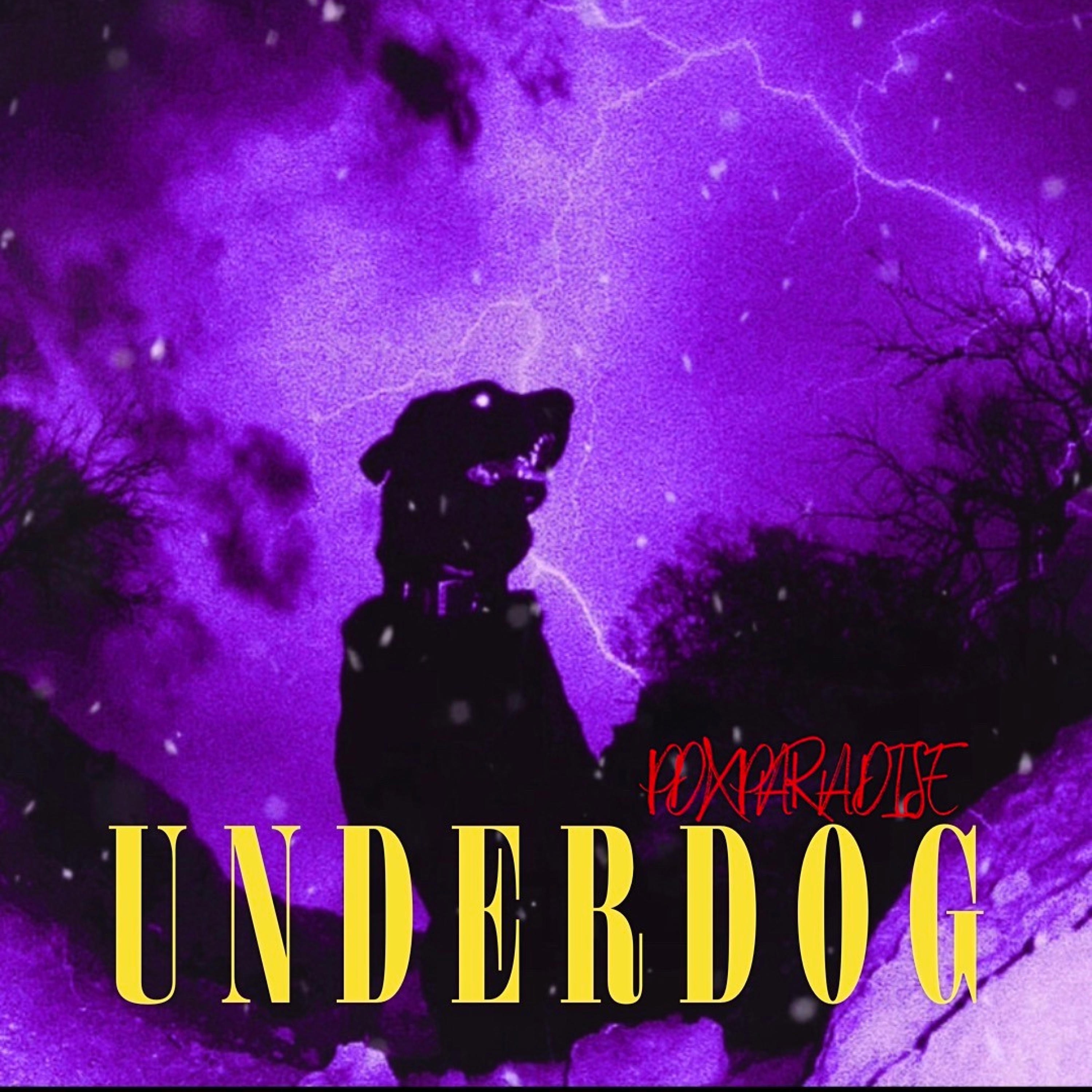 UNDERDOG - Single