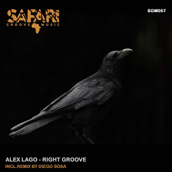 Right Goove - Single