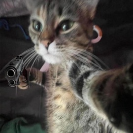 vampirekilla. TO$hIRO