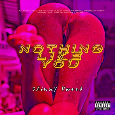 Nothing Like you - Single