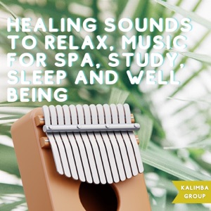 Healing Sounds to Relax, Music for Spa, Study, Sleep and Well Being